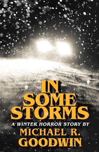 In Some Storms book cover