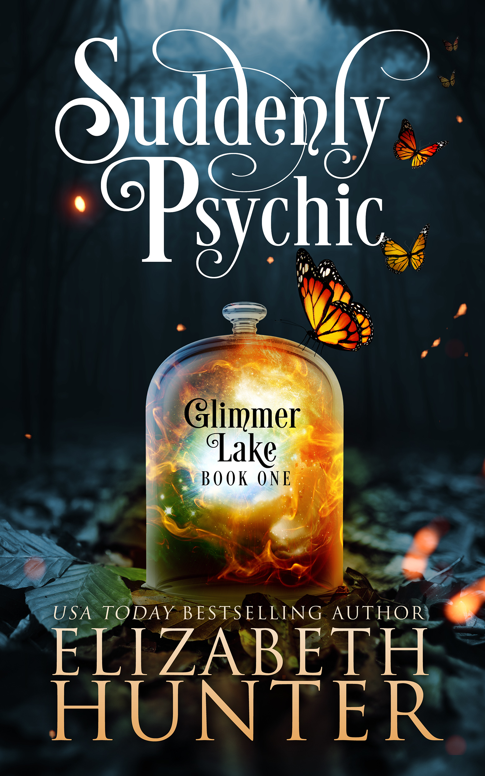 Glimmer Lake book cover 1