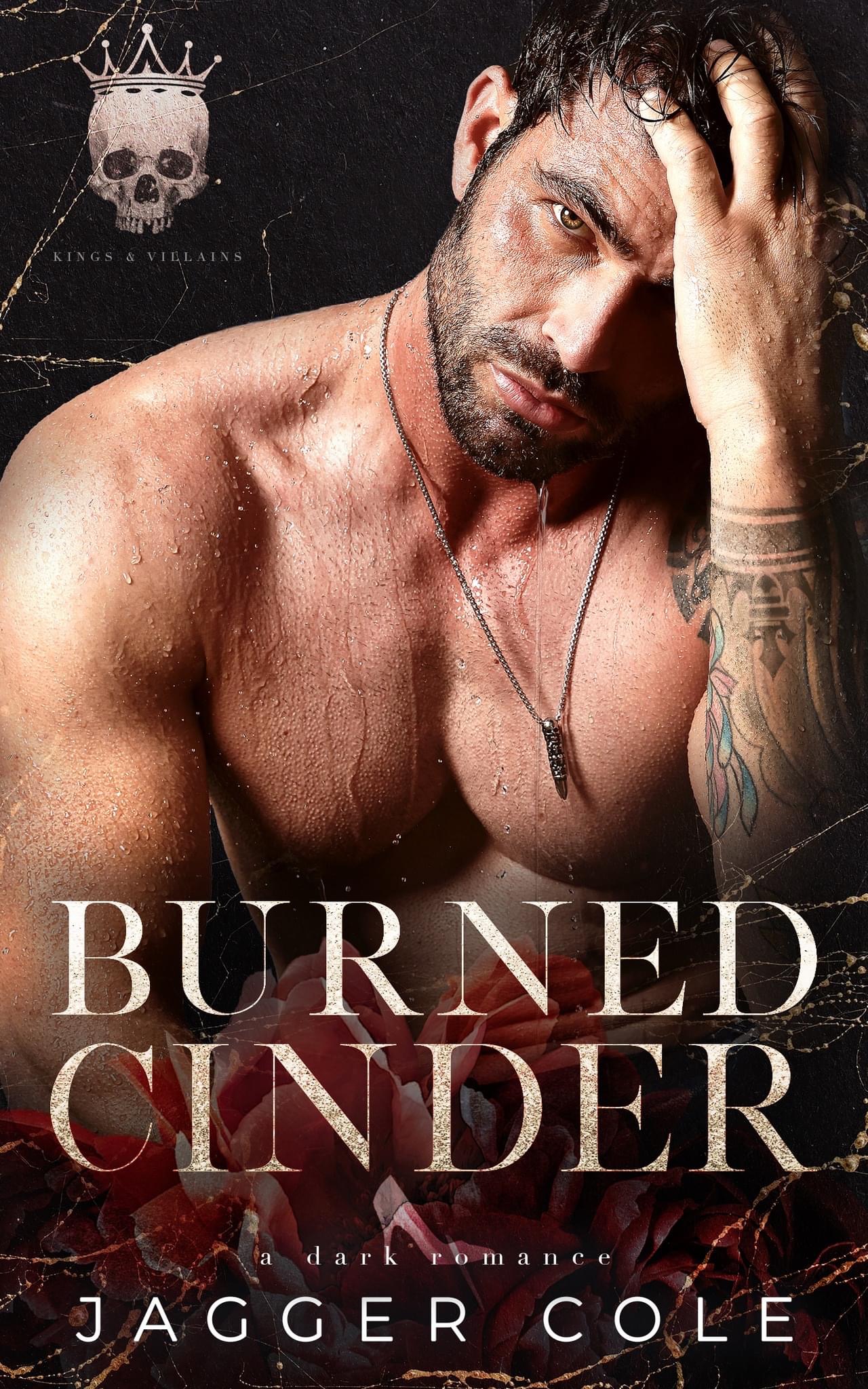 Cinder Duet book cover 1