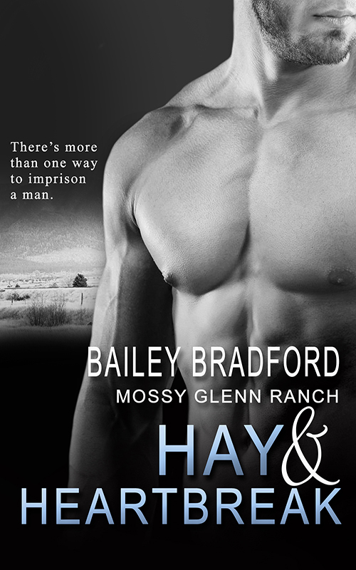 Hay and Heartbreak book cover