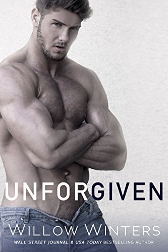 Sins and Secret Series of Duets book cover 2