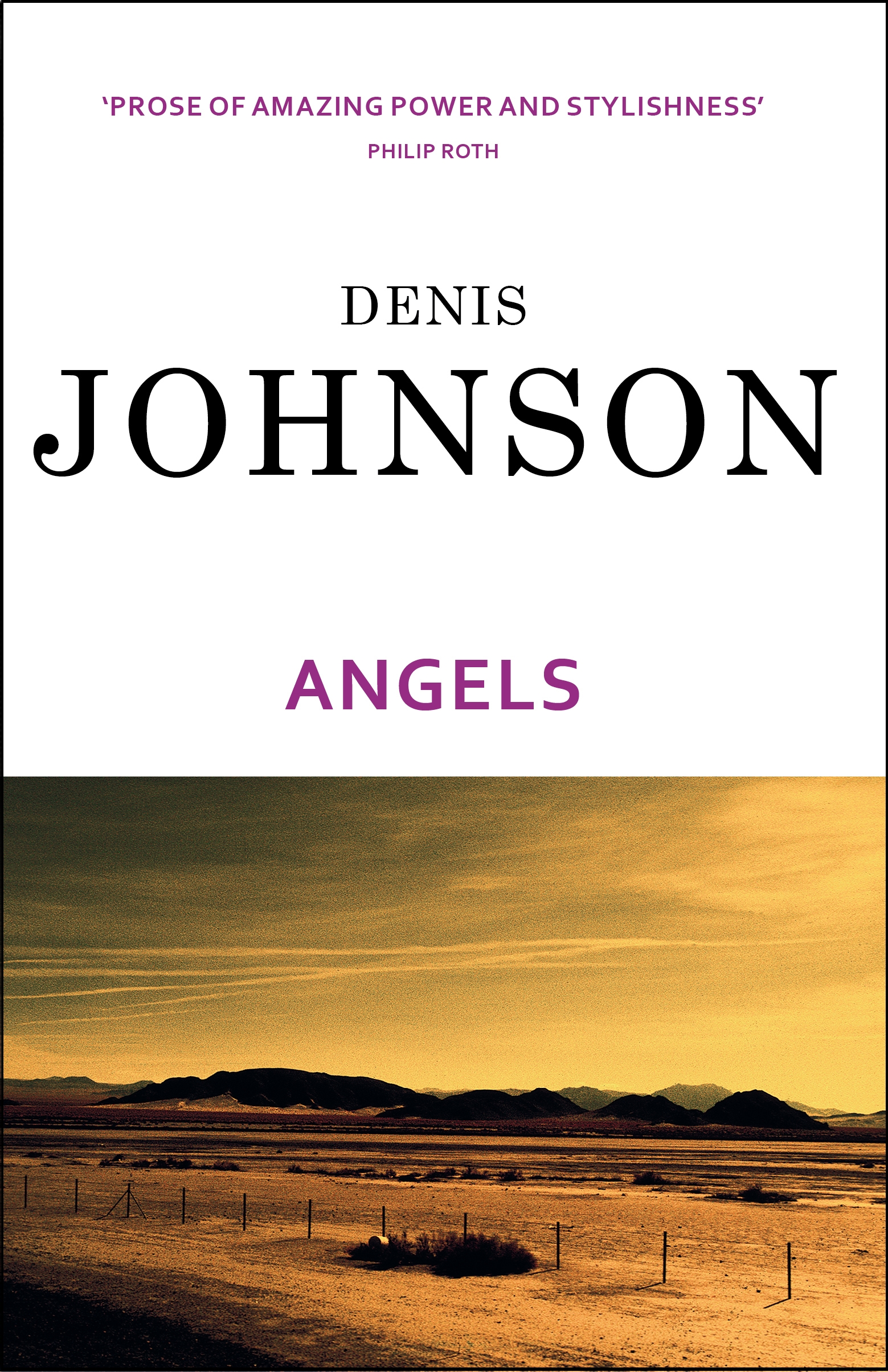 Angels book cover