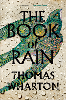 The Book of Rain book cover