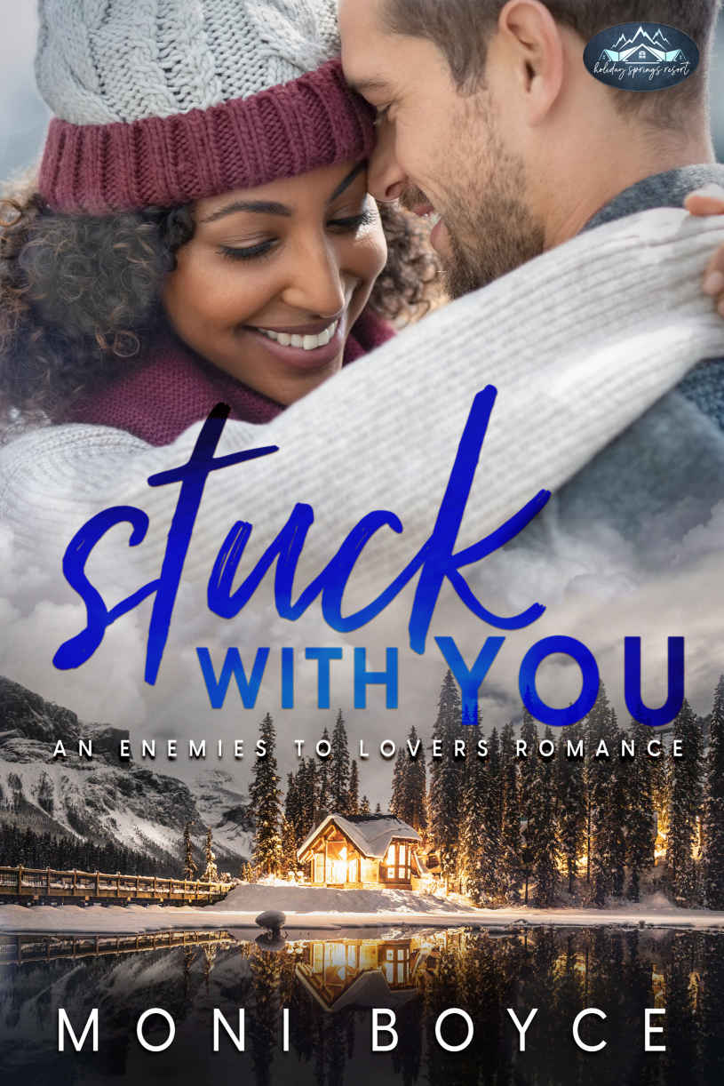 Holiday Springs Resort book cover 3