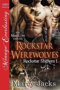 Rockstar Shifters book cover 1