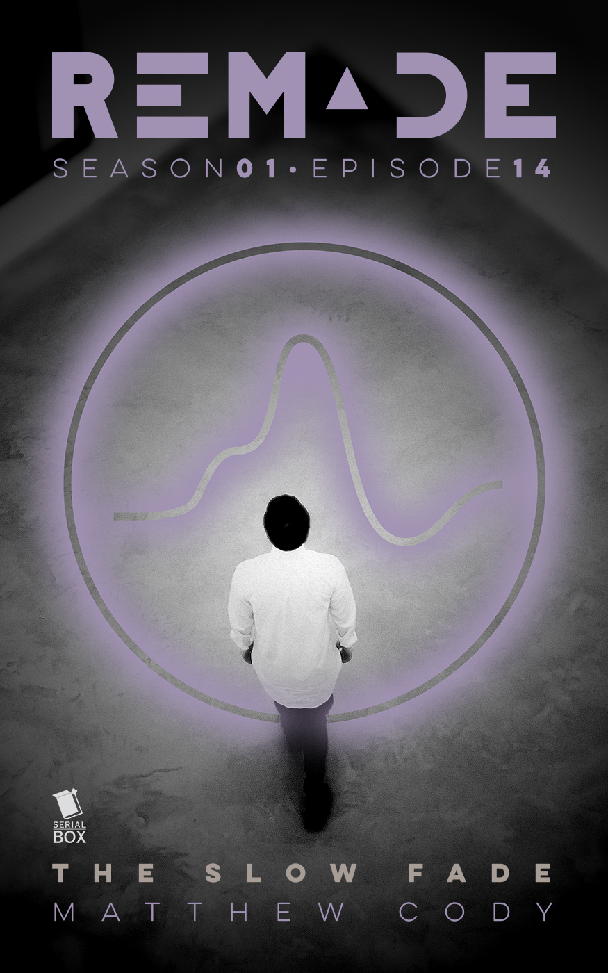 The Slow Fade book cover
