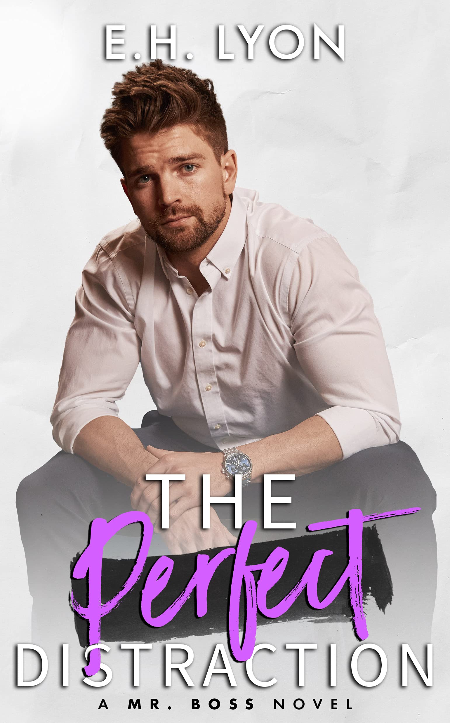 The Perfect Distraction book cover