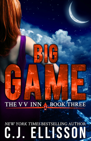 The V V Inn book cover 3