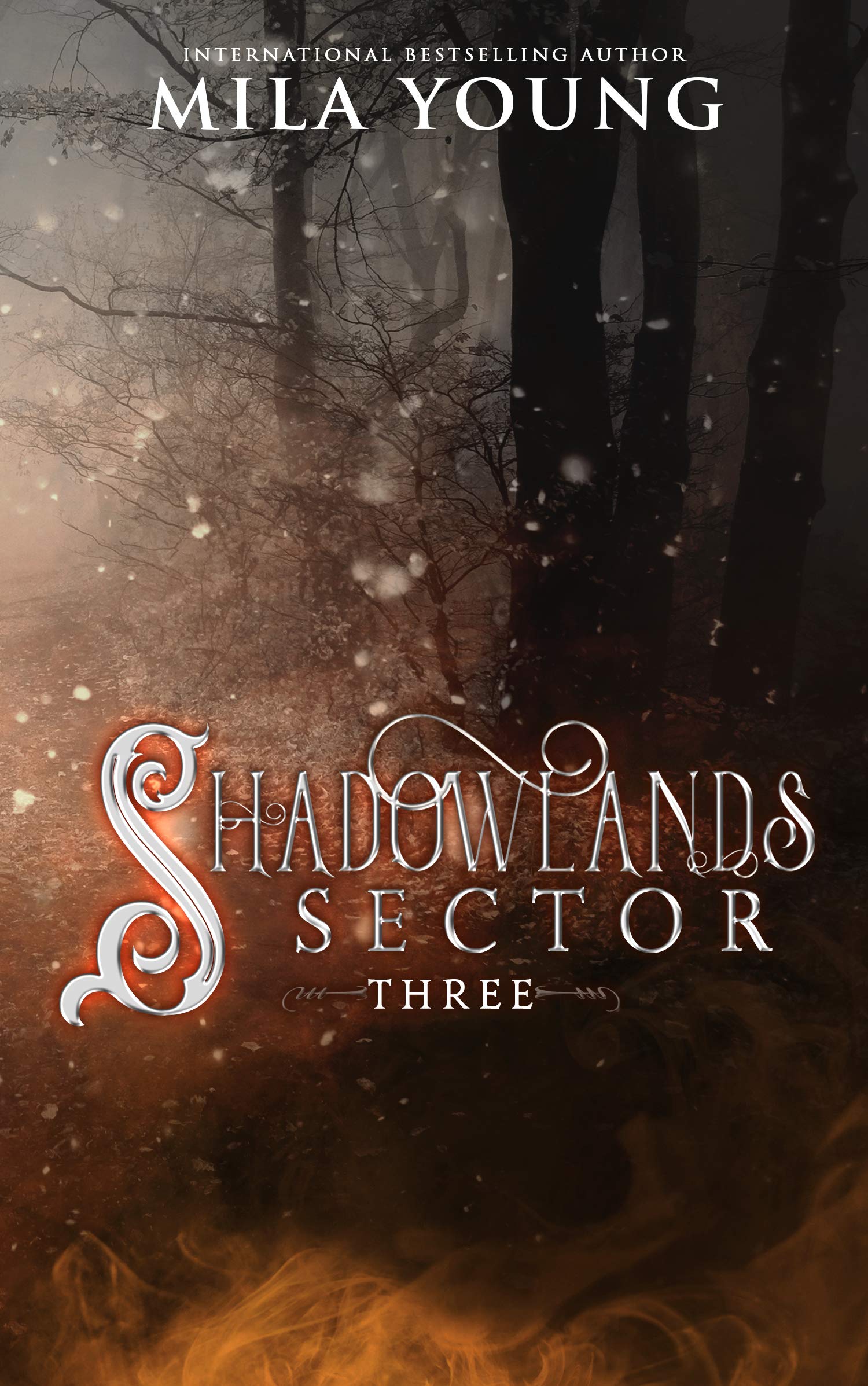 Shadowlands Sector book cover 3