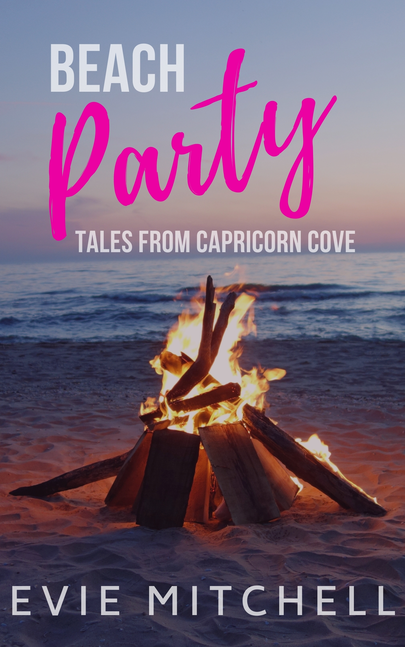 Beach Party book cover