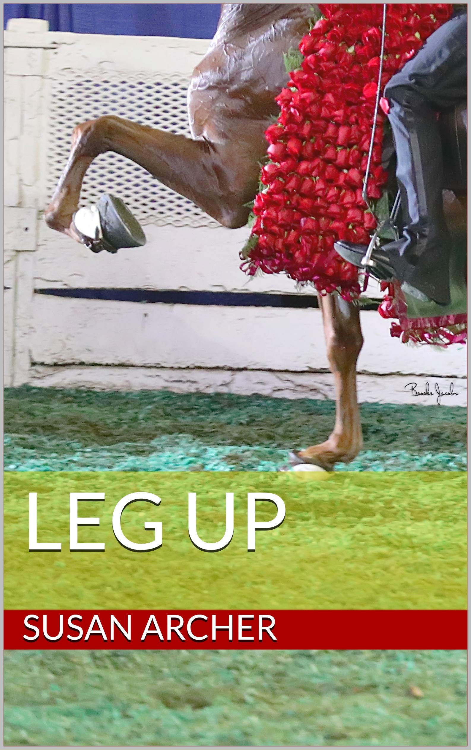 Leg Up book cover
