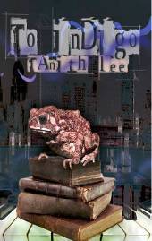 To Indigo book cover