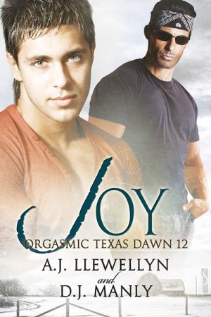 Joy book cover