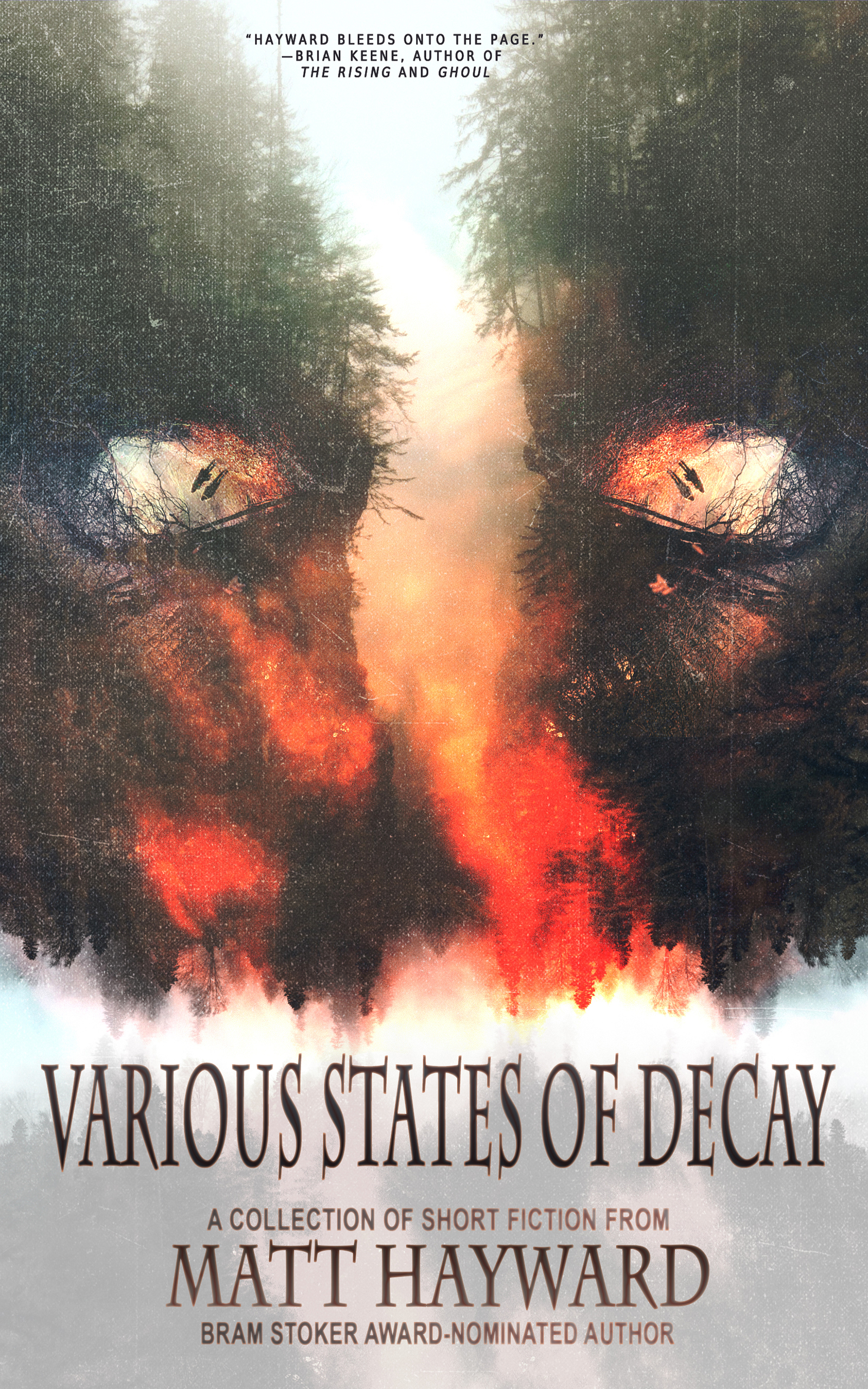 Various States of Decay book cover