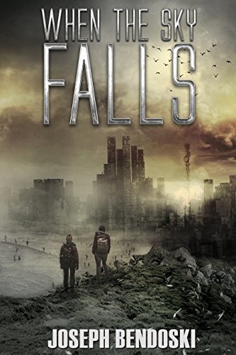 When the Sky Falls book cover