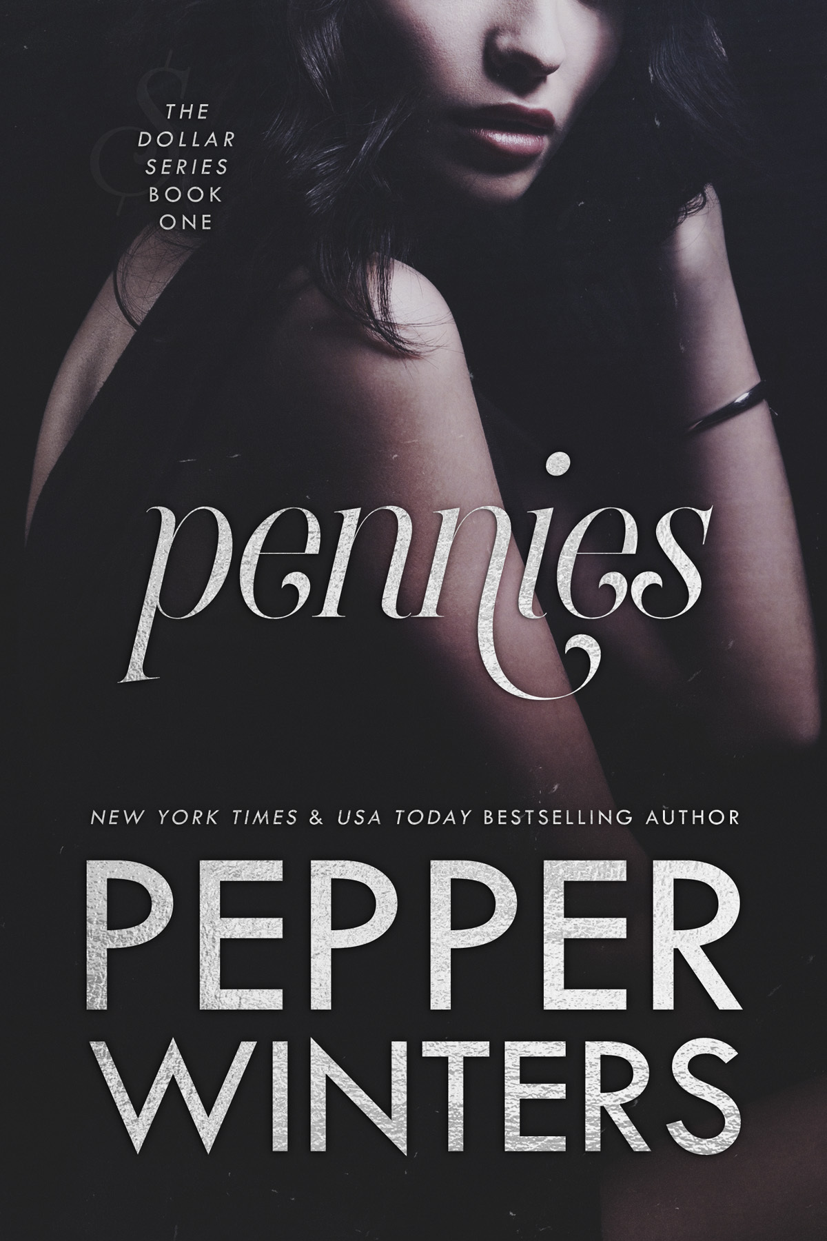 Dollar book cover 1