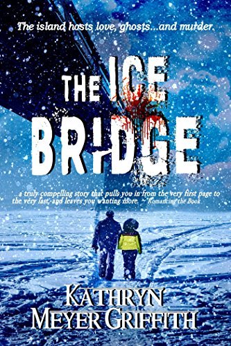 The Ice Bridge book cover
