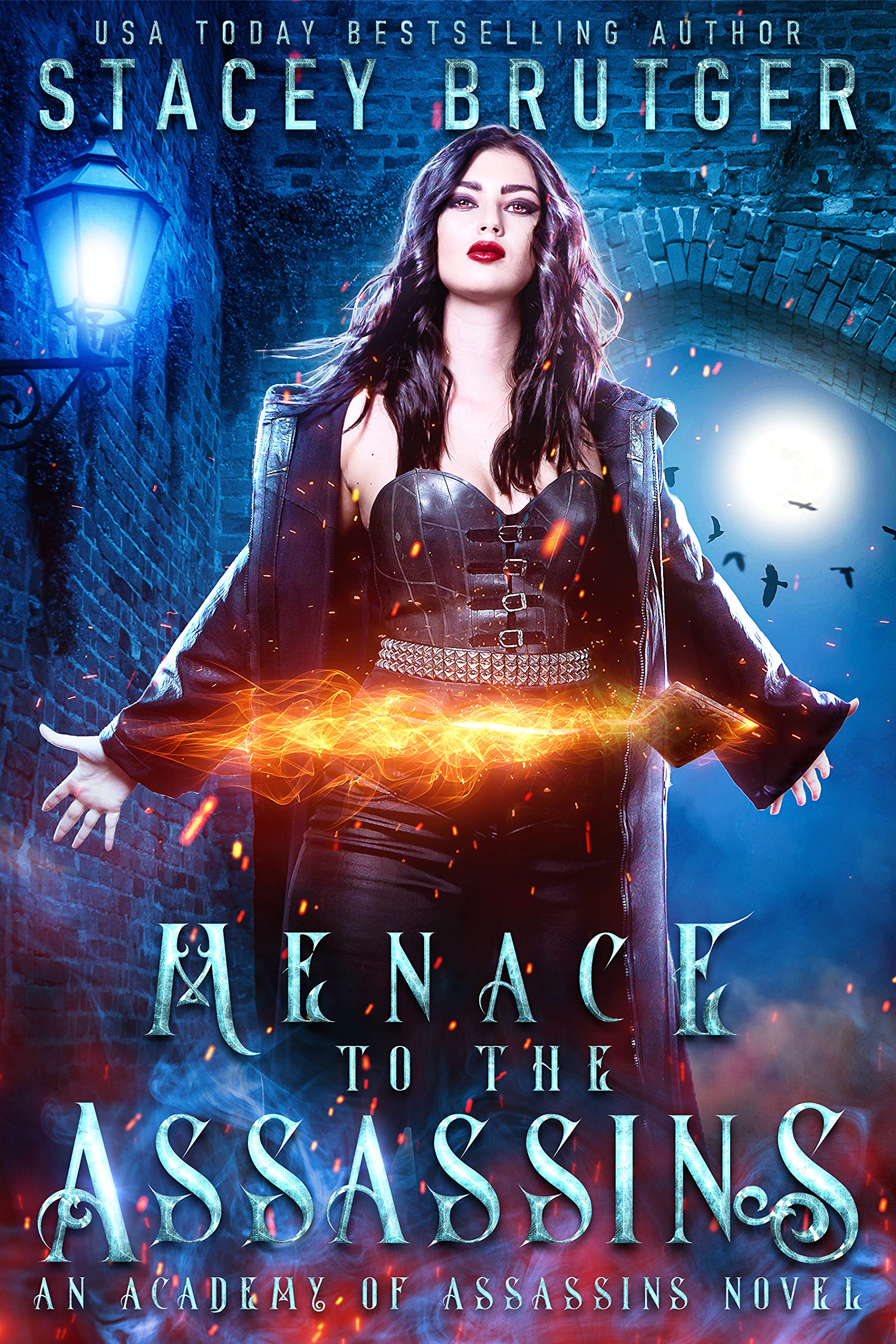 Menace to the Assassins book cover