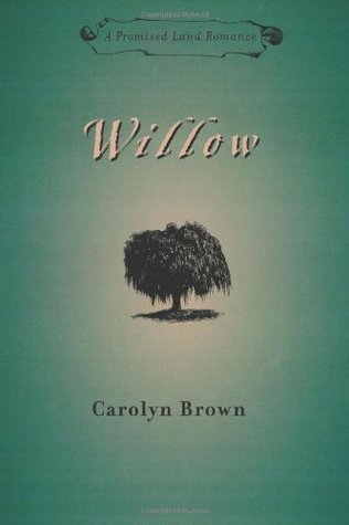Willow book cover