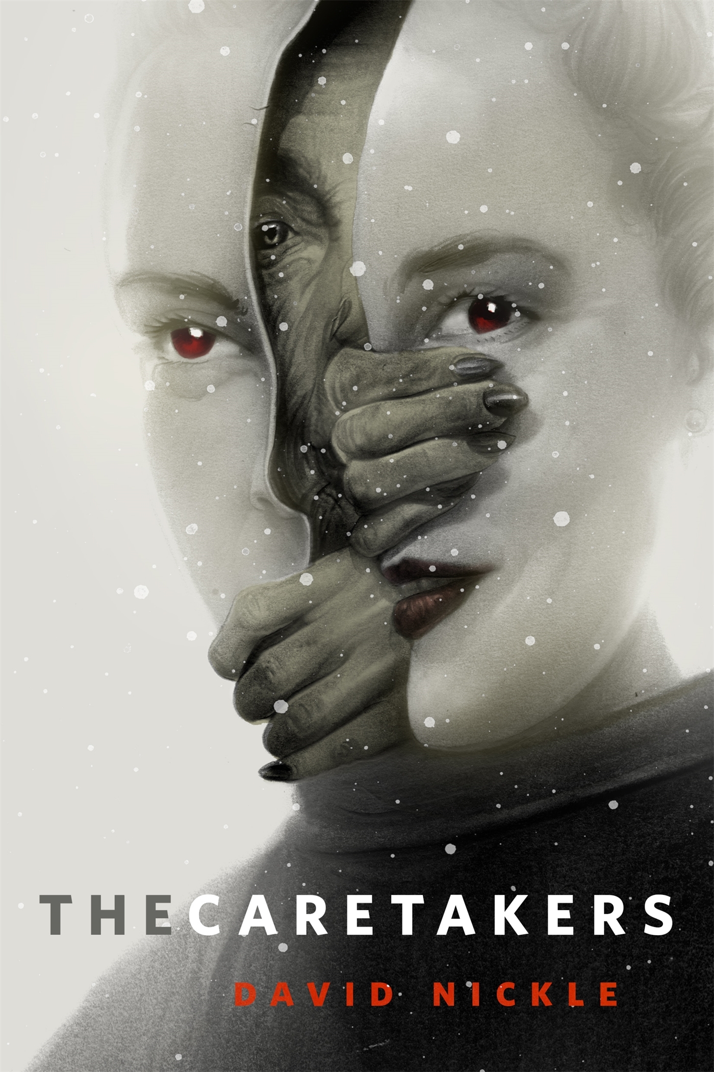 The Caretakers book cover