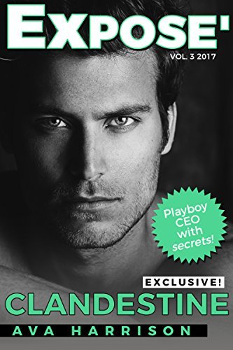 Exposé book cover 2
