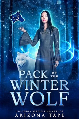 Guardian of the Winter Stone book cover 3