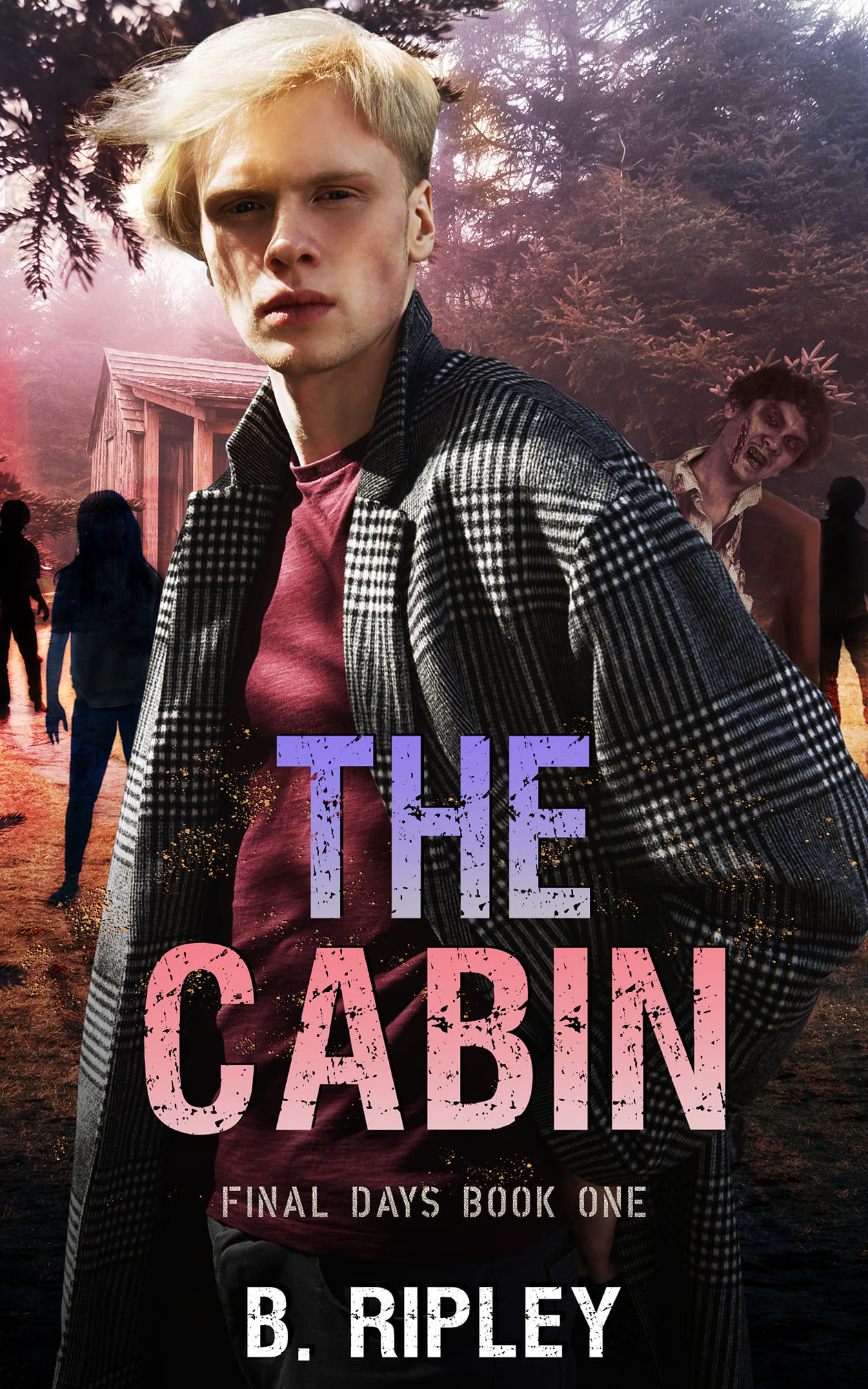 Final Days book cover 1