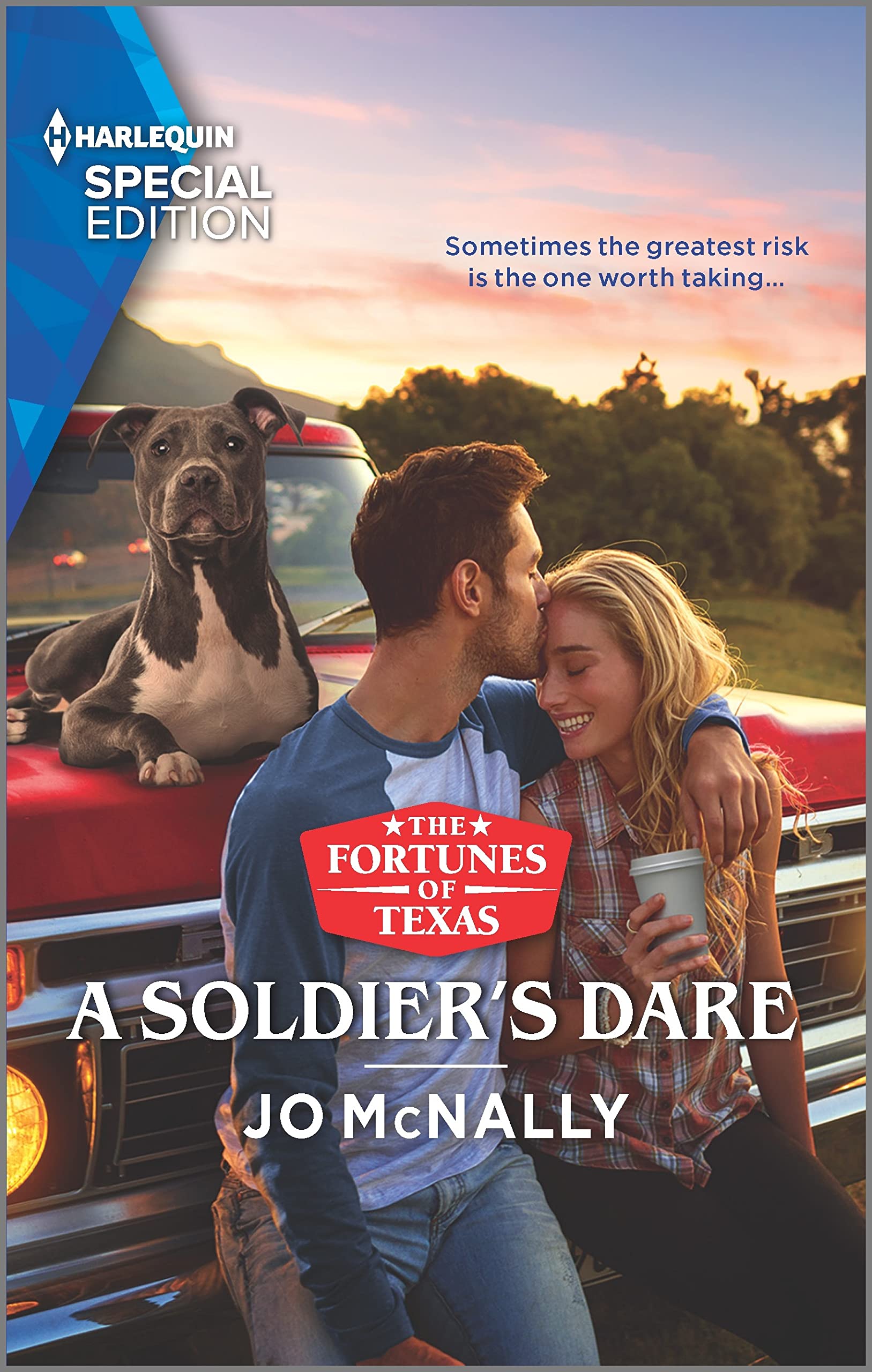 The Fortunes of Texas: The Wedding Gift book cover 2