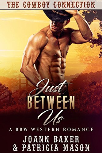 The Cowboy Connection book cover 2