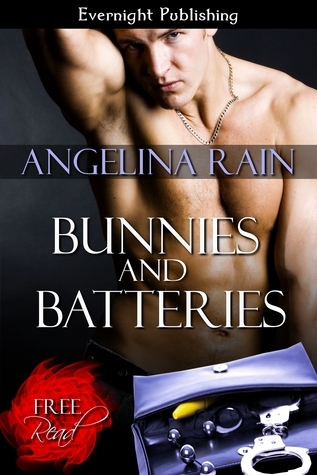 Bunnies and Batteries book cover
