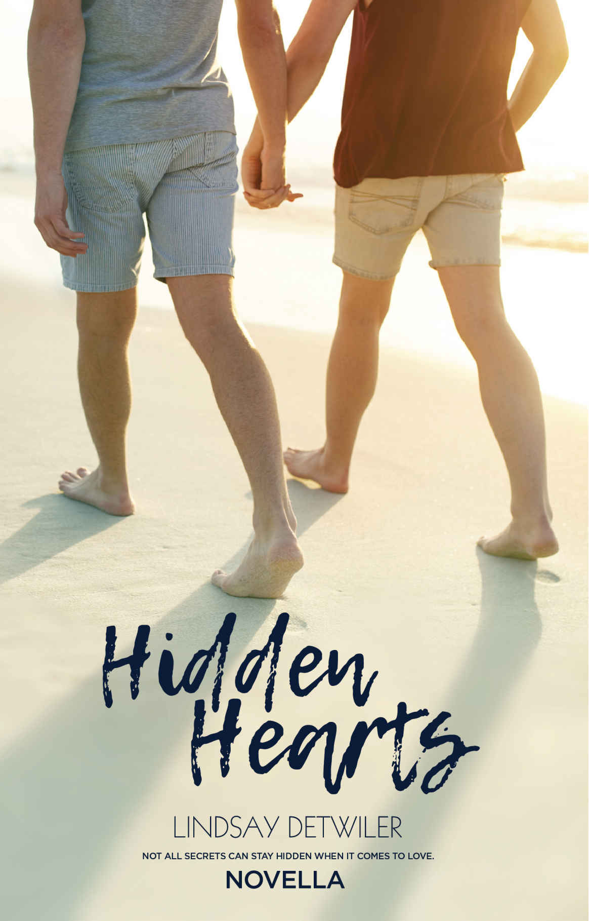 Hidden Hearts book cover