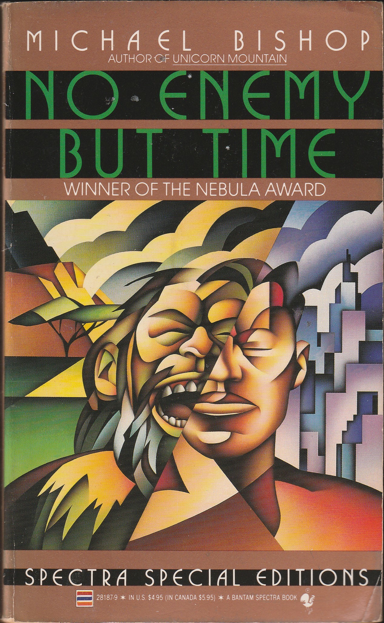 No Enemy But Time book cover