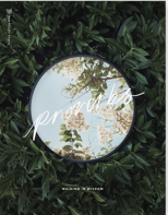 Proverbs book cover