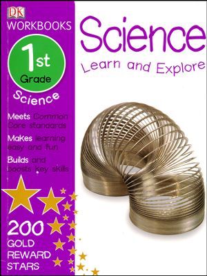 DK Workbooks book cover