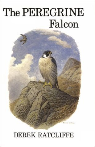 The Peregrine Falcon, First Edition book cover