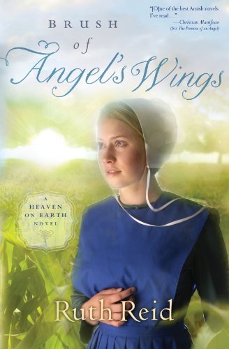 Brush of Angel's Wings book cover