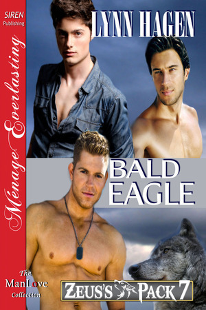Bald Eagle book cover