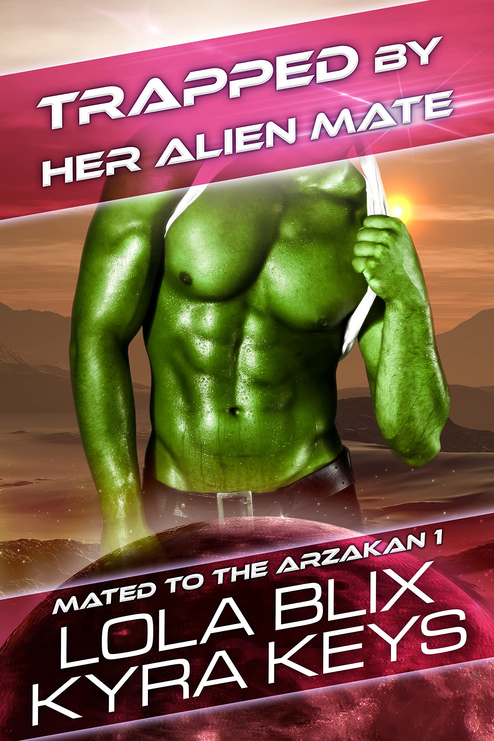 Mated to the Arzakan book cover 1