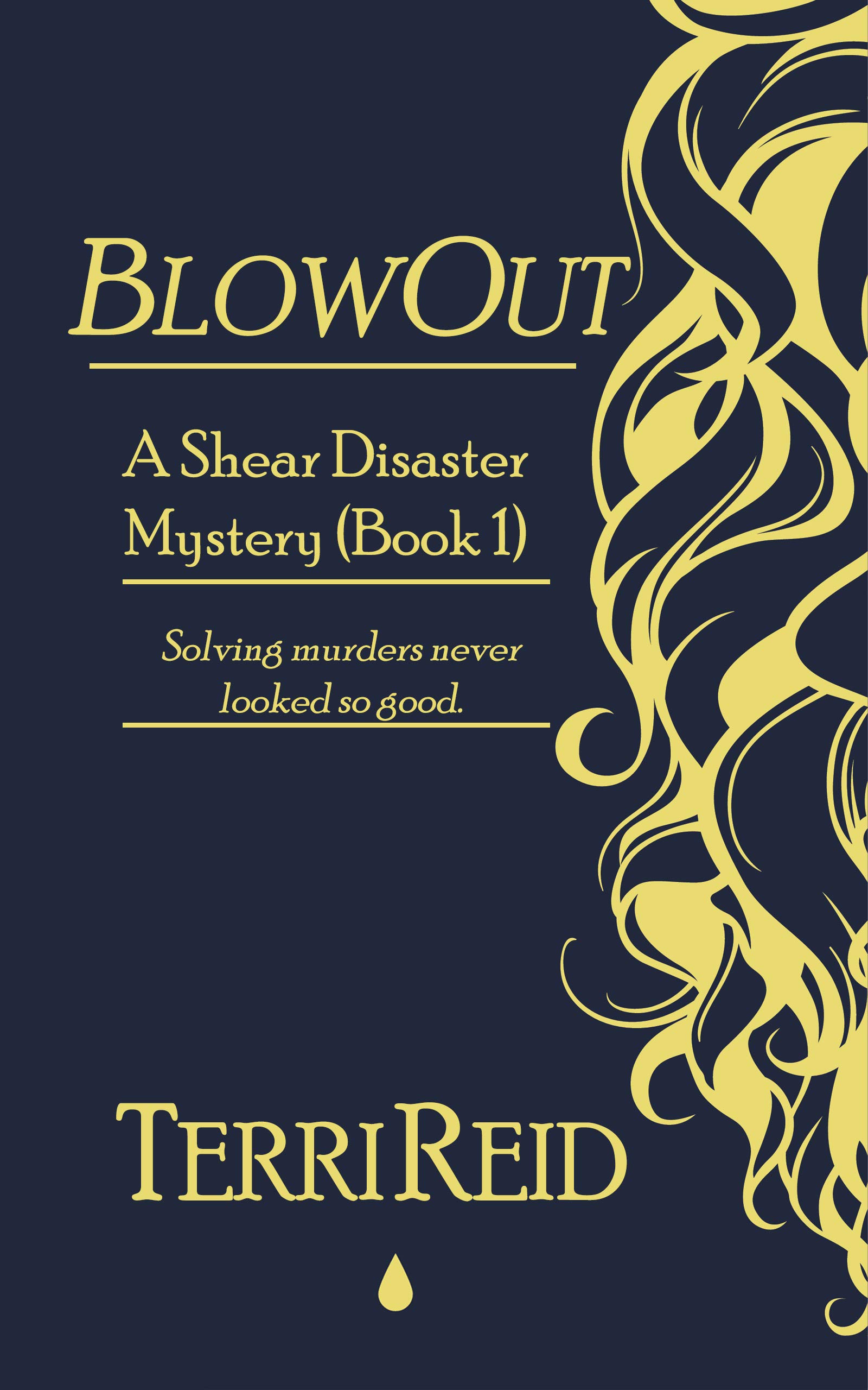 Shear Disaster Mystery book cover 1