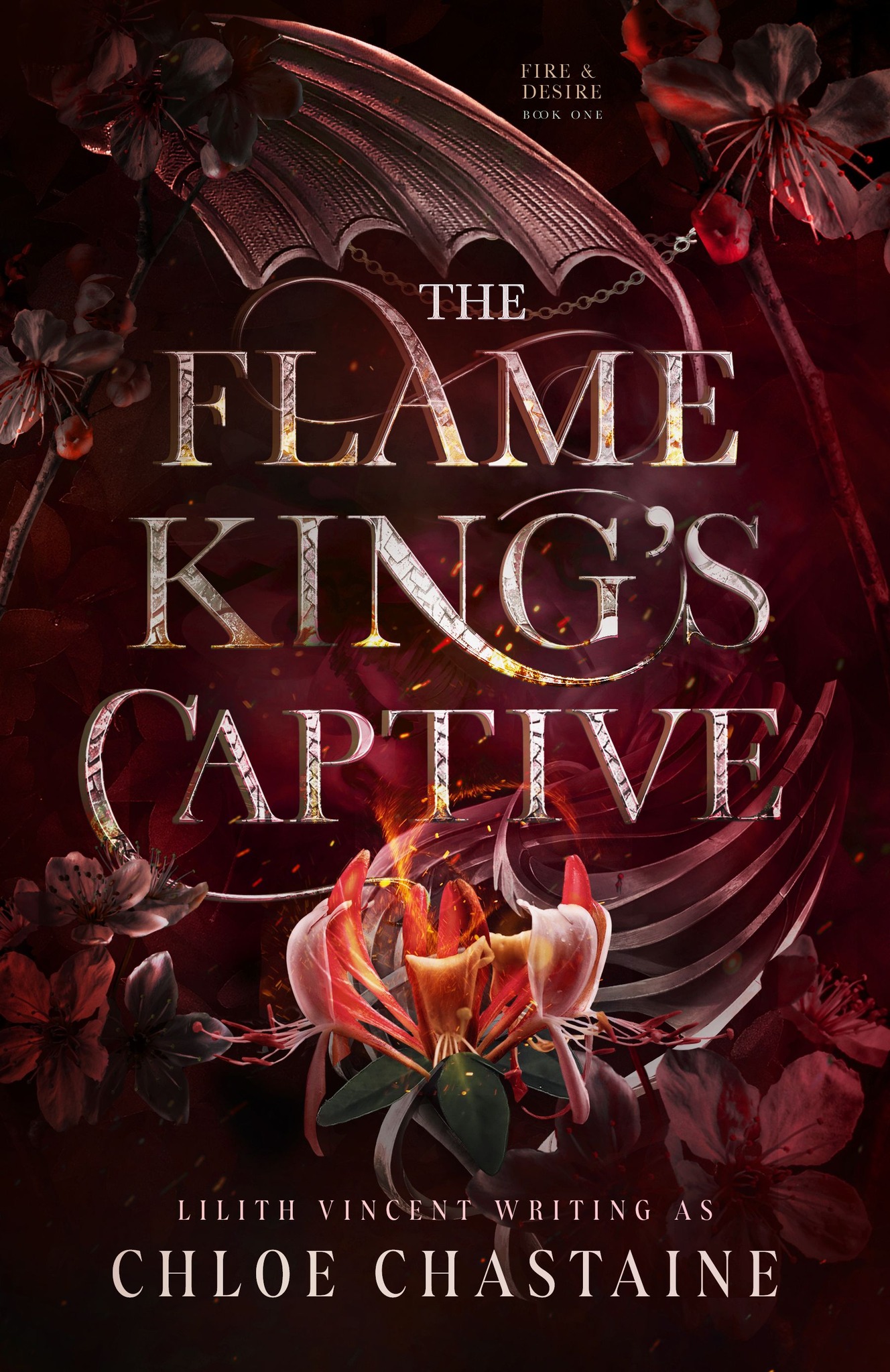 Fire and Desire book cover 1