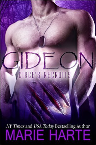 Circe's Recruits 2.0 book cover 1