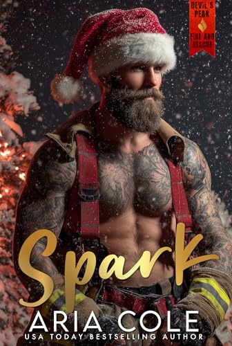 Devil's Peak Fire & Rescue book cover 1