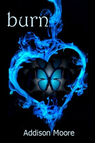 Burn book cover