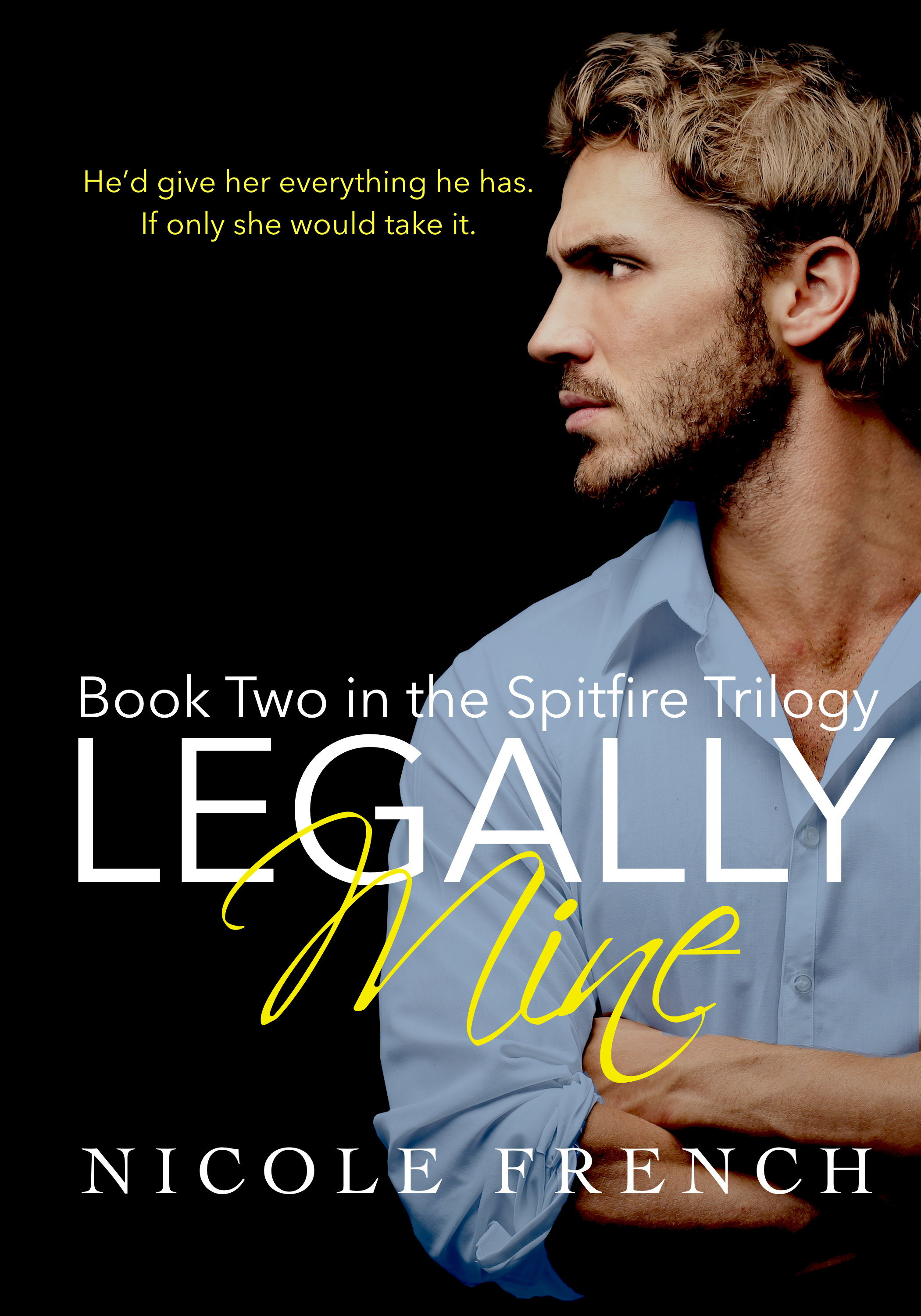 Spitfire book cover 2