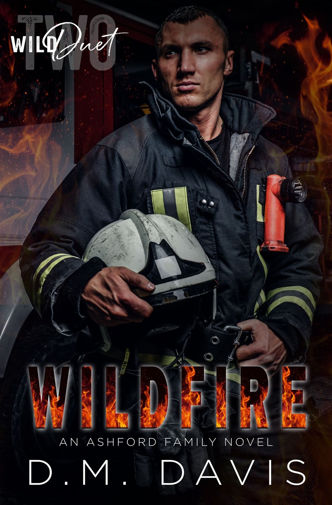 Ashford Family book cover 2