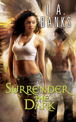 The Dark book cover 1