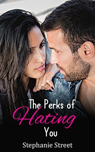 Perks book cover 2