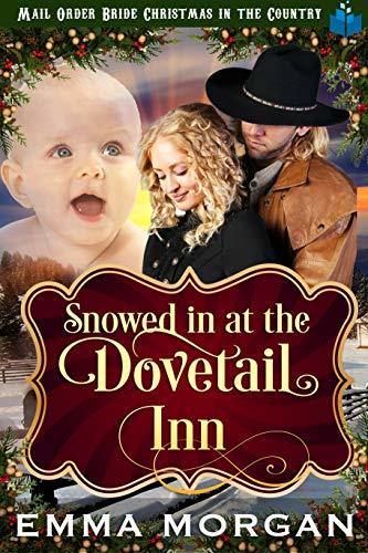 Snowed in at the Dovetail Inn book cover