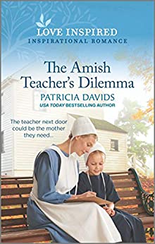 North Country Amish book cover 3