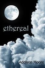 Celestra book cover 2